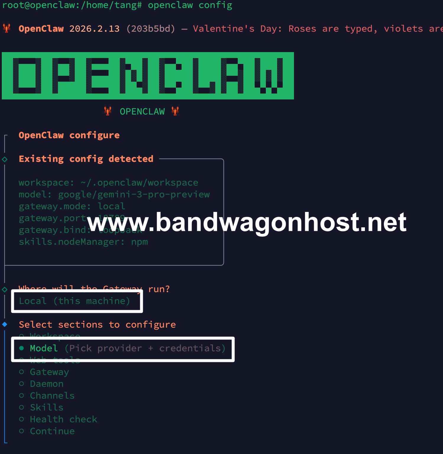 Openclaw Config File 2026 搬瓦工 VPS 一键安装部署 OpenClaw 图文详细教程(原 Clawdbot) - Bandwagonhost中文网 ...